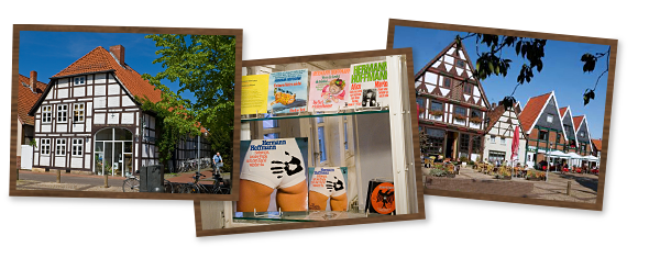 Bilder zur Rubrik Ausstellung 2017